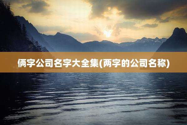 俩字公司名字大全集(两字的公司名称)