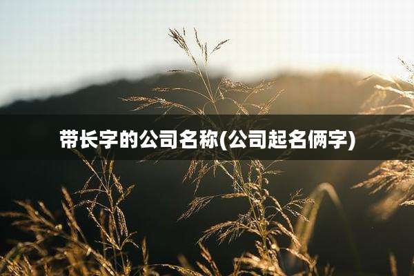带长字的公司名称(公司起名俩字)