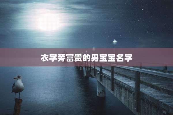 衣字旁富贵的男宝宝名字