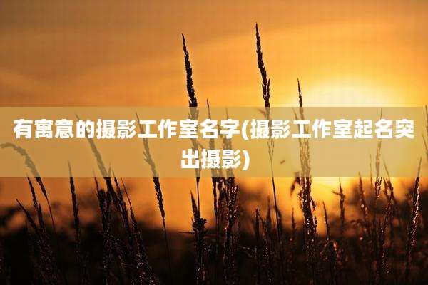 有寓意的摄影工作室名字(摄影工作室起名突出摄影)