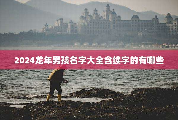 2024龙年男孩名字大全含续字的有哪些