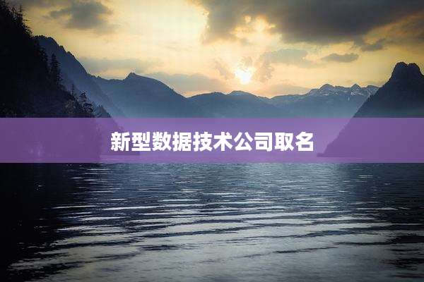 新型数据技术公司取名