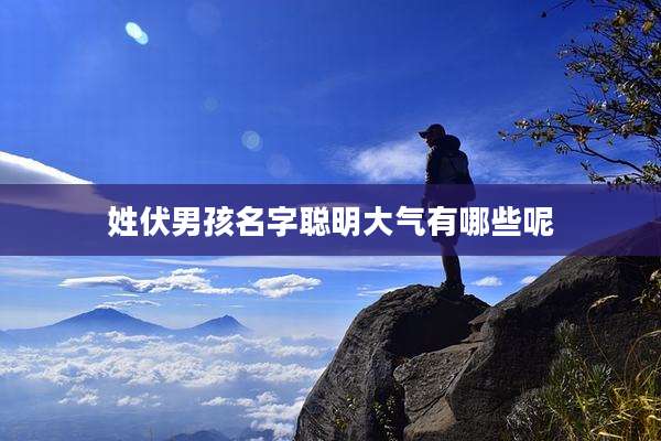 姓伏男孩名字聪明大气有哪些呢