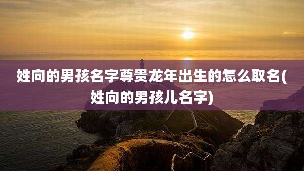 姓向的男孩名字尊贵龙年出生的怎么取名(姓向的男孩儿名字)