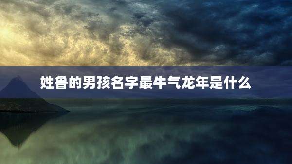 姓鲁的男孩名字最牛气龙年是什么
