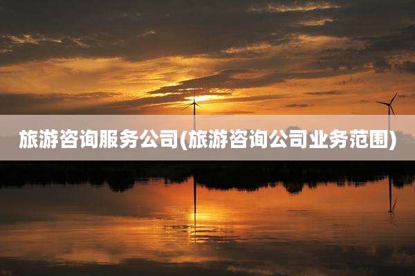 旅游咨询服务公司(旅游咨询公司业务范围)