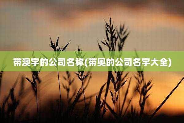 带澳字的公司名称(带奥的公司名字大全)