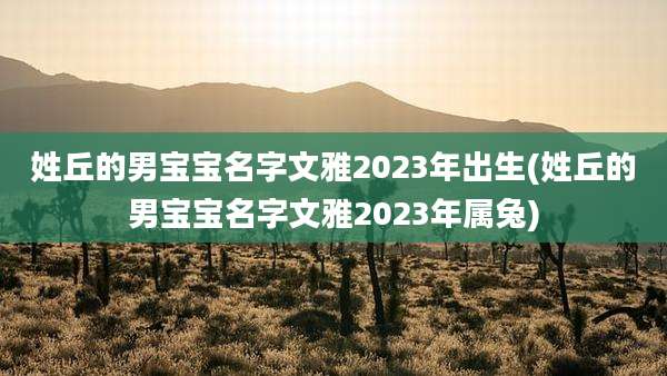 姓丘的男宝宝名字文雅2023年出生(姓丘的男宝宝名字文雅2023年属兔)