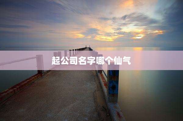 起公司名字哪个仙气