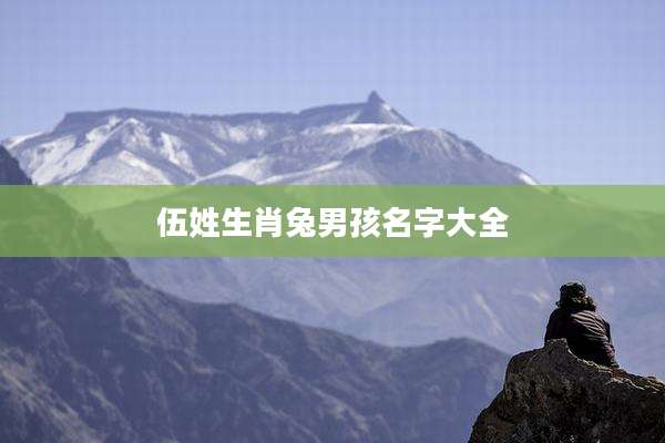 伍姓生肖兔男孩名字大全