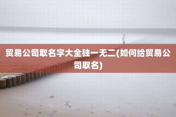 贸易公司取名字大全独一无二(如何给贸易公司取名)