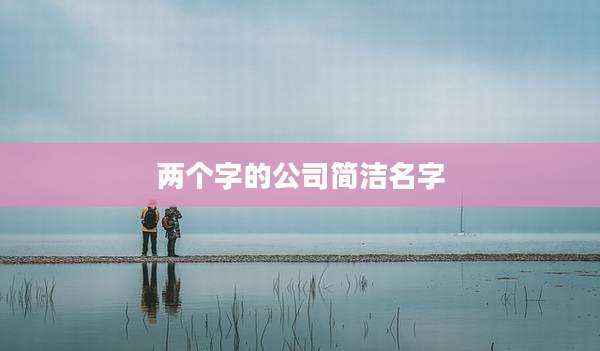 两个字的公司简洁名字