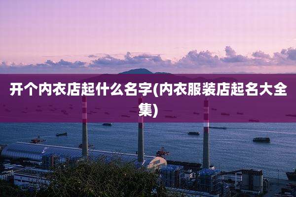 开个内衣店起什么名字(内衣服装店起名大全集)