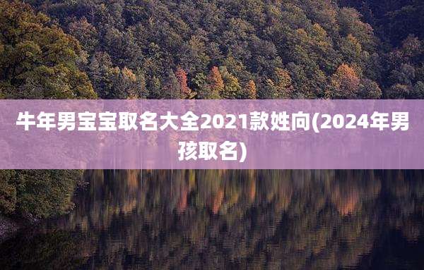 牛年男宝宝取名大全2021款姓向(2024年男孩取名)