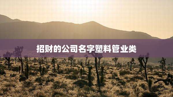 招财的公司名字塑料管业类