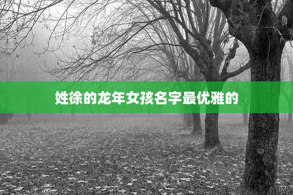 姓徐的龙年女孩名字最优雅的