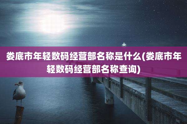 娄底市年轻数码经营部名称是什么(娄底市年轻数码经营部名称查询)