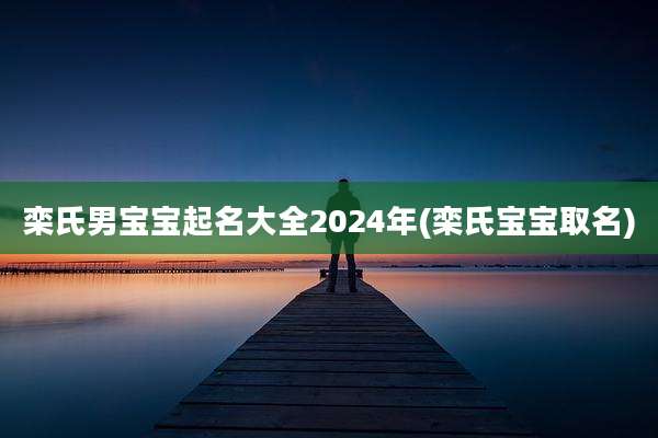 栾氏男宝宝起名大全2024年(栾氏宝宝取名)