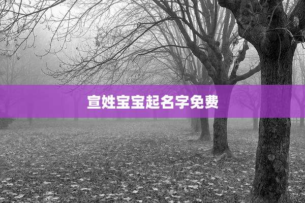 宣姓宝宝起名字免费