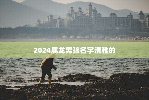2024属龙男孩名字清雅的