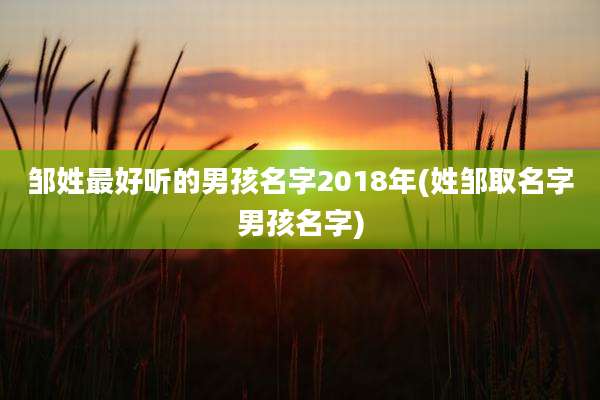 邹姓最好听的男孩名字2018年(姓邹取名字男孩名字)