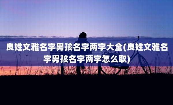 良姓文雅名字男孩名字两字大全(良姓文雅名字男孩名字两字怎么取)