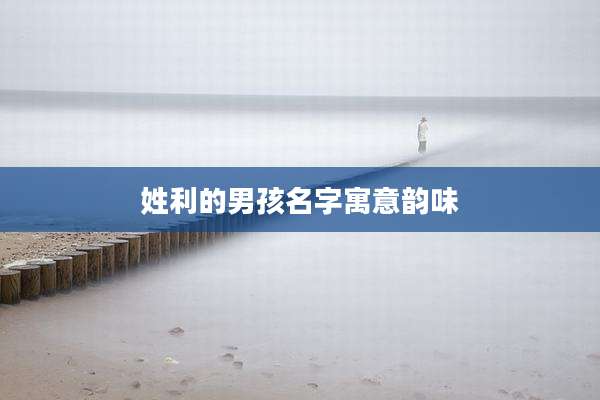 姓利的男孩名字寓意韵味