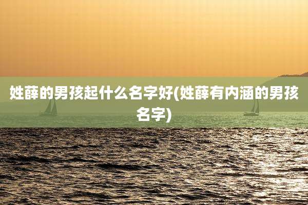 姓薛的男孩起什么名字好(姓薛有内涵的男孩名字)