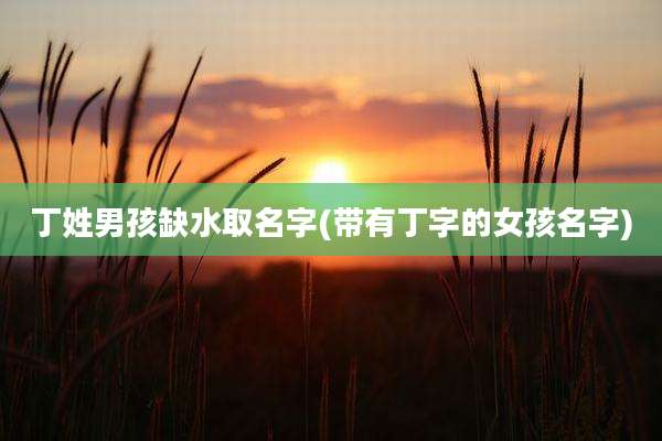 丁姓男孩缺水取名字(带有丁字的女孩名字)