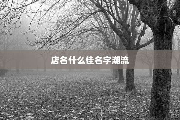 店名什么佳名字潮流