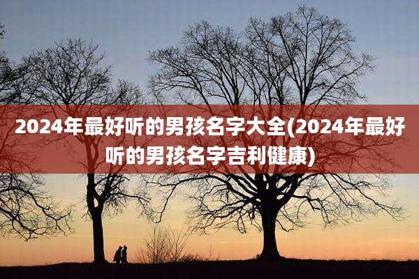 2024年最好听的男孩名字大全(2024年最好听的男孩名字吉利健康)