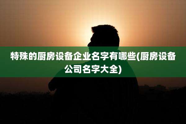 特殊的厨房设备企业名字有哪些(厨房设备公司名字大全)