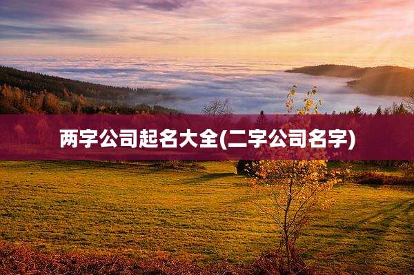 两字公司起名大全(二字公司名字)