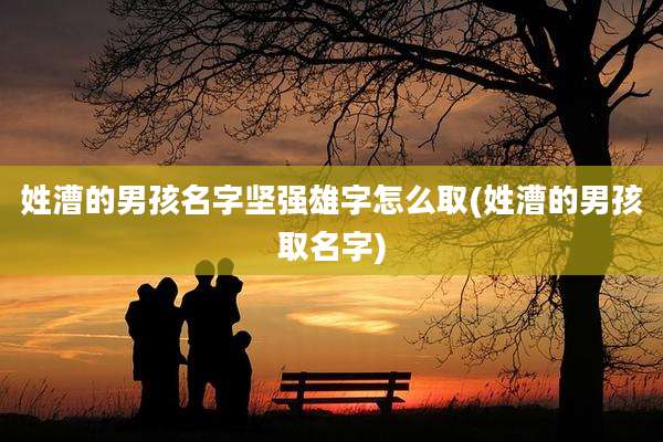 姓漕的男孩名字坚强雄字怎么取(姓漕的男孩取名字)