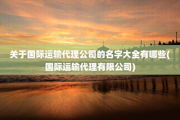 关于国际运输代理公司的名字大全有哪些(国际运输代理有限公司)