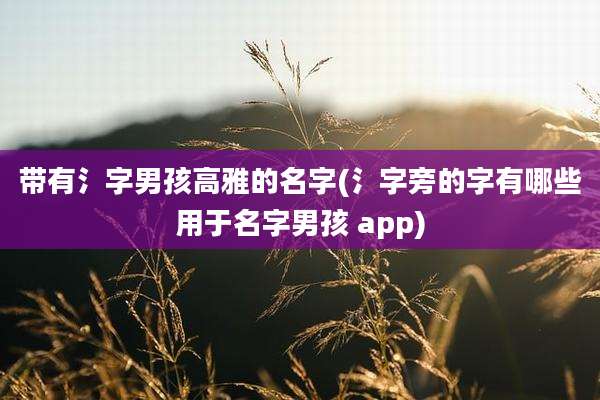 带有氵字男孩高雅的名字(氵字旁的字有哪些用于名字男孩 app)