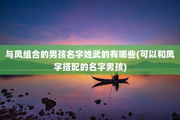 与凤组合的男孩名字姓武的有哪些(可以和凤字搭配的名字男孩)