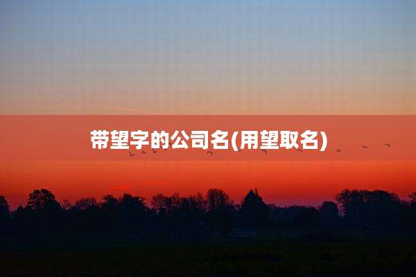 带望字的公司名(用望取名)