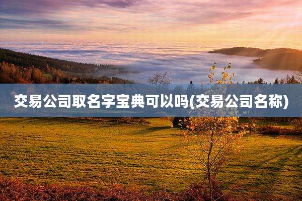 交易公司取名字宝典可以吗(交易公司名称)