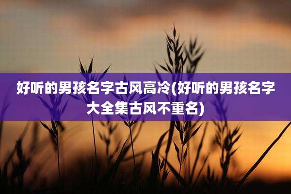 好听的男孩名字古风高冷(好听的男孩名字大全集古风不重名)