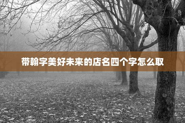 带翰字美好未来的店名四个字怎么取