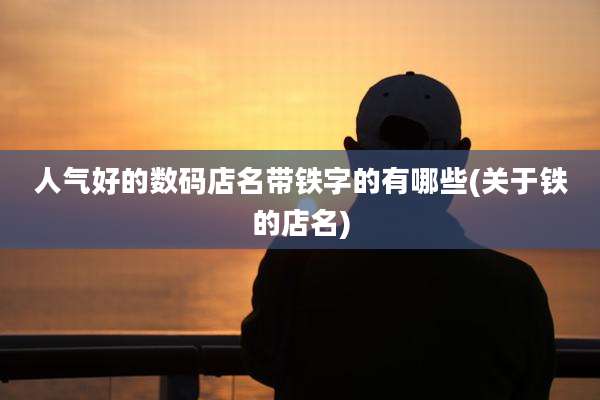 人气好的数码店名带铁字的有哪些(关于铁的店名)