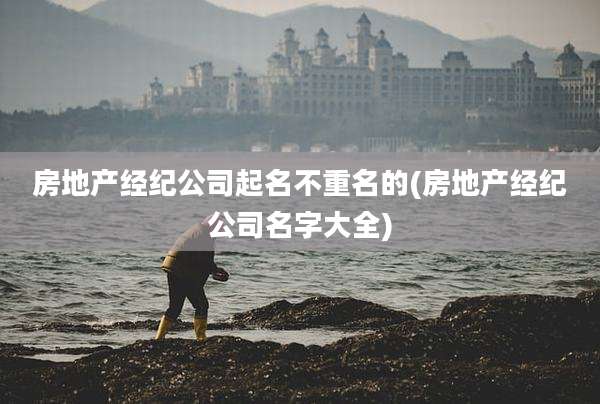 房地产经纪公司起名不重名的(房地产经纪公司名字大全)