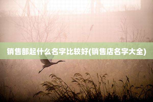 销售部起什么名字比较好(销售店名字大全)