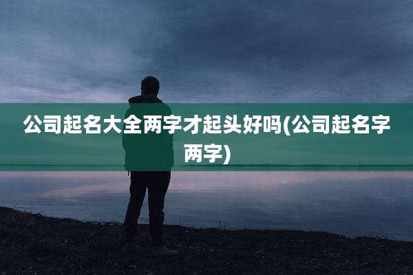 公司起名大全两字才起头好吗(公司起名字两字)