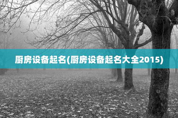 厨房设备起名(厨房设备起名大全2015)