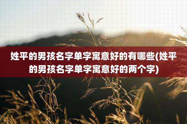 姓平的男孩名字单字寓意好的有哪些(姓平的男孩名字单字寓意好的两个字)