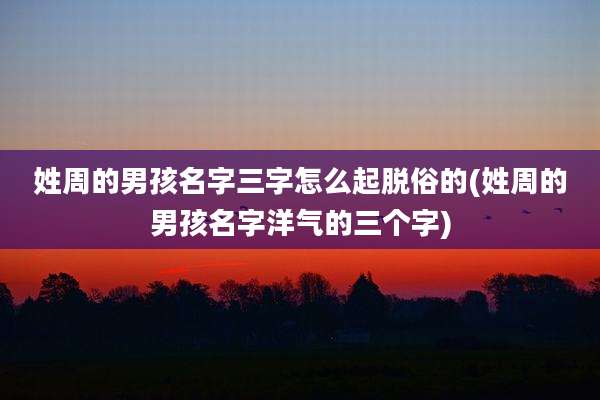 姓周的男孩名字三字怎么起脱俗的(姓周的男孩名字洋气的三个字)