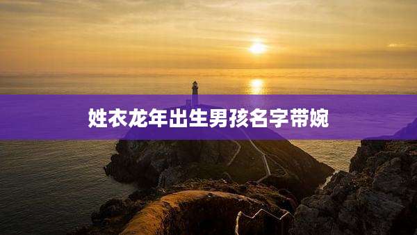 姓衣龙年出生男孩名字带婉