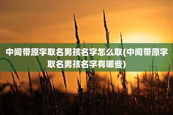 中间带原字取名男孩名字怎么取(中间带原字取名男孩名字有哪些)